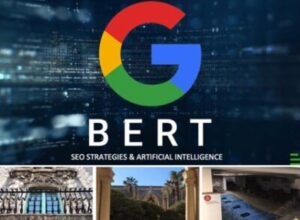 Bert - SEO Strategies Bert - SEO Strategies